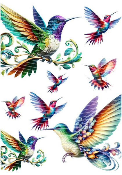 A5 Notebook Wraps-W-2703